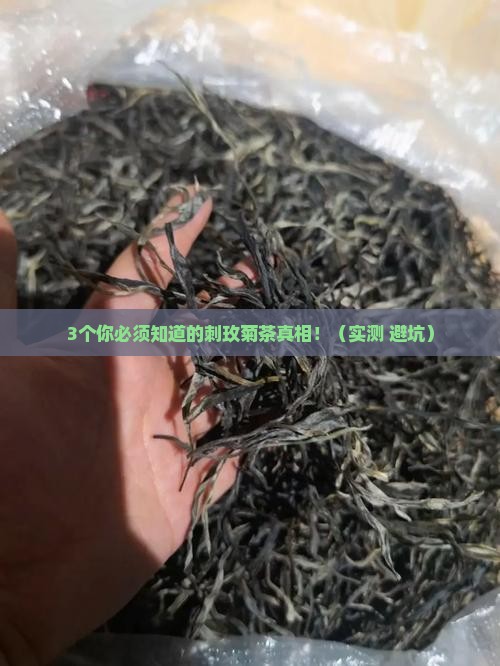 刺玫菊茶的功效与作用