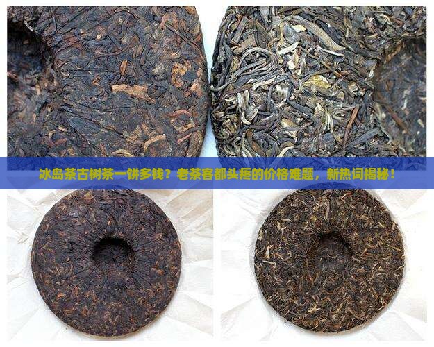 冰岛茶古树茶一饼多钱