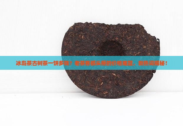 冰岛茶古树茶一饼多钱