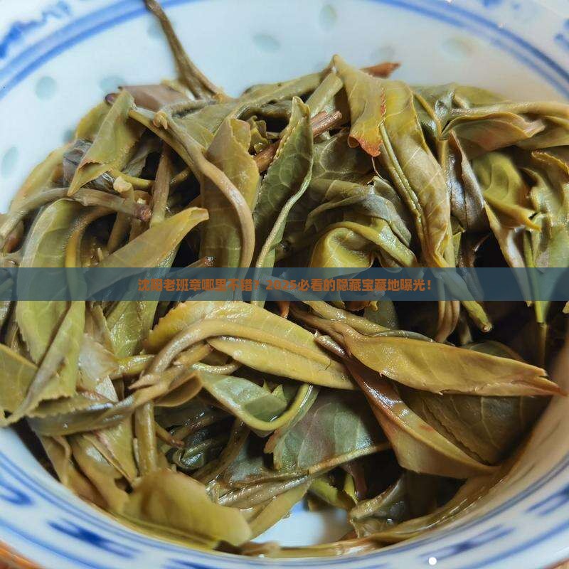 沈阳老班章哪里不错