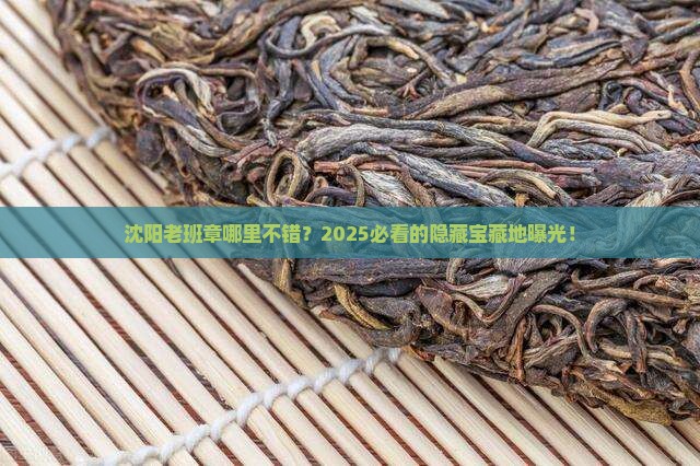 沈阳老班章哪里不错