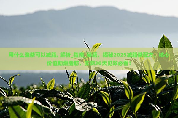 用什么泡茶可以减脂