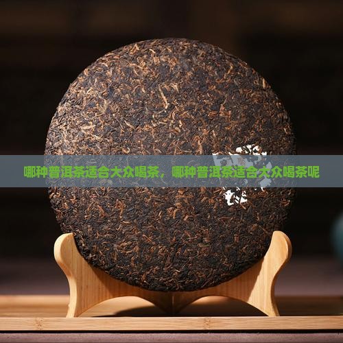 哪种普洱茶适合大众喝茶