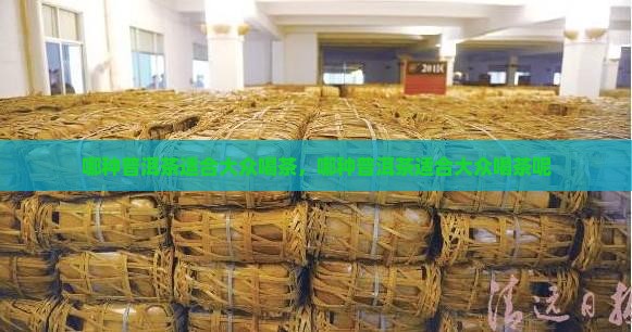 哪种普洱茶适合大众喝茶