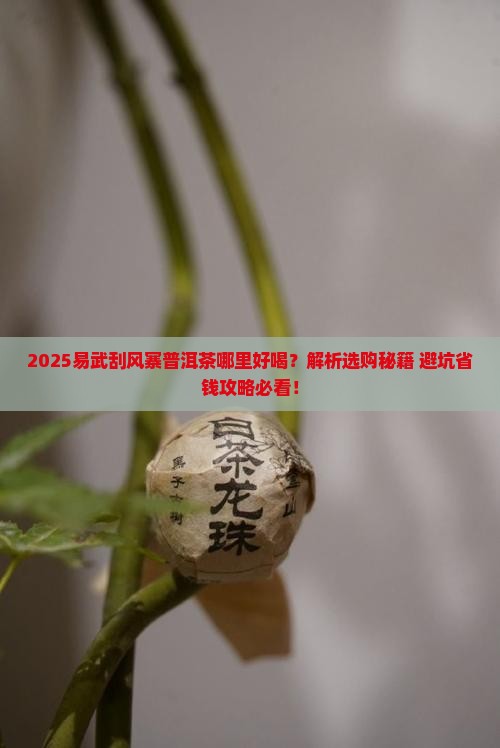 易武刮风寨普洱茶哪里好喝