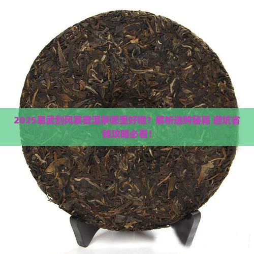 易武刮风寨普洱茶哪里好喝