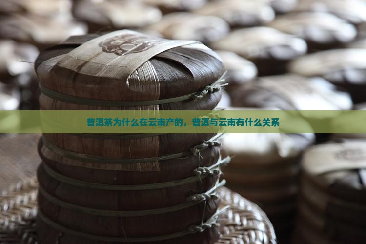 普洱茶为什么在云南产的