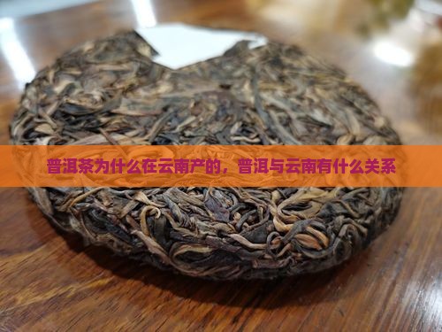 普洱茶为什么在云南产的