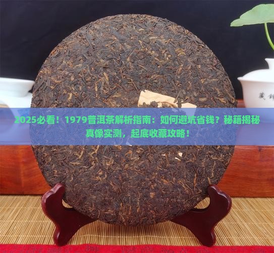 1979普洱茶