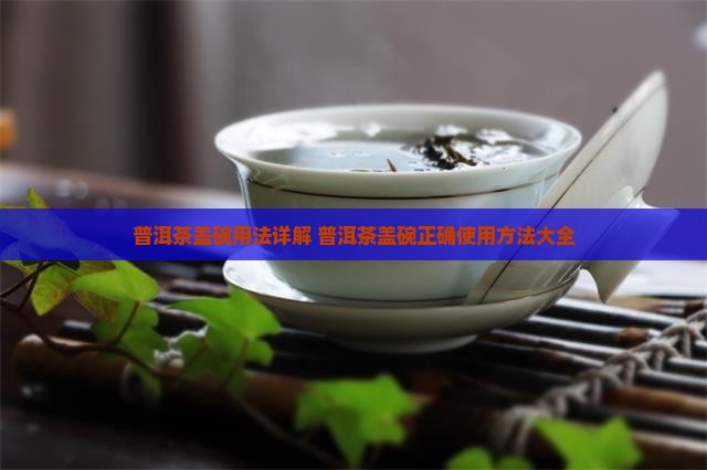 普洱茶盖碗用法