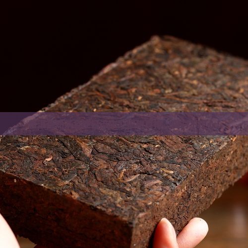 普洱茶熟茶会使钙流失 普洱茶熟茶会使钙流失