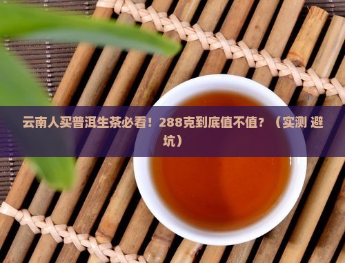 云南高山普洱生茶288克价格