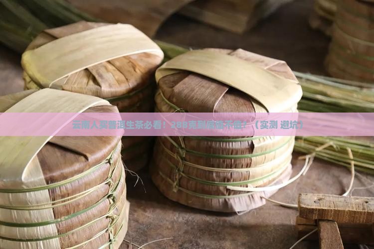 云南高山普洱生茶288克价格