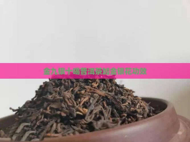 金九银十喝普洱茶