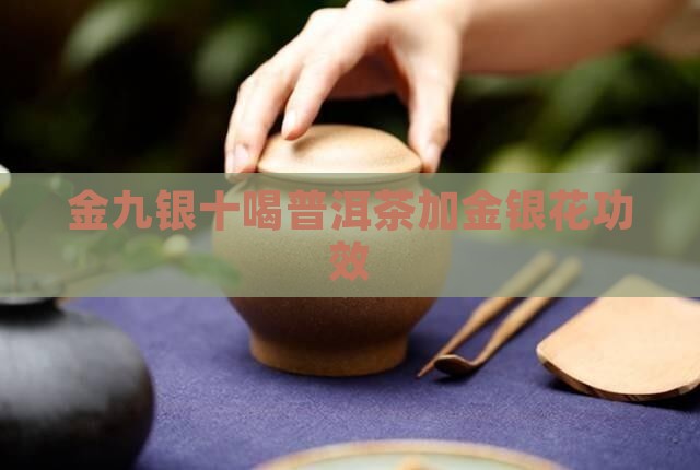 金九银十喝普洱茶