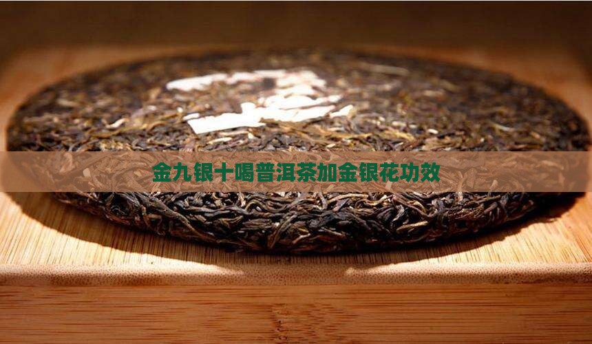 金九银十喝普洱茶