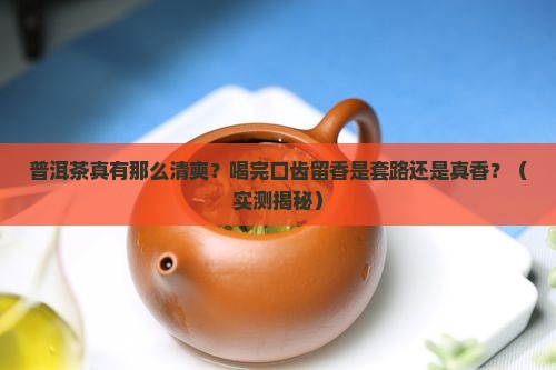 普洱茶喝了口齿清爽