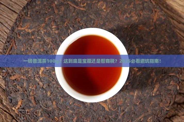 一砖普洱茶100g