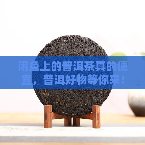闲鱼的普洱茶好便宜