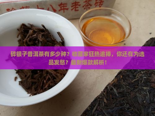 碎银子普洱茶有多少种