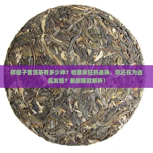 碎银子普洱茶有多少种