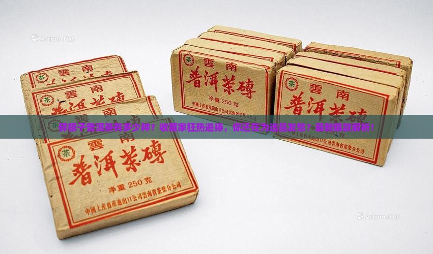 碎银子普洱茶有多少种