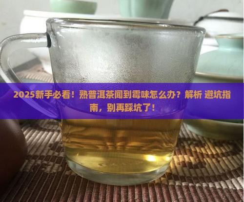 熟普洱茶闻起来有一股霉味