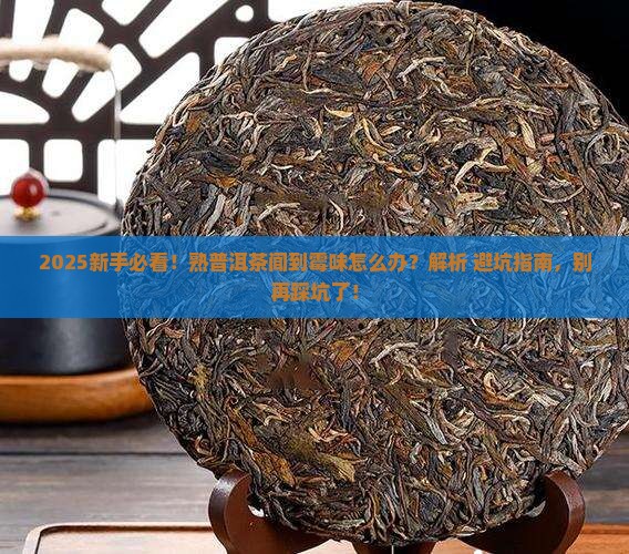 熟普洱茶闻起来有一股霉味