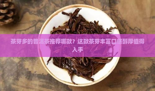 茶芽多的普洱茶推荐哪款