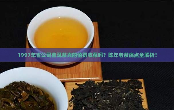 1997年省公司普洱茶