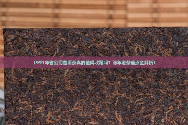 1997年省公司普洱茶