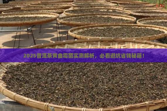 普洱茶中的黄曲霉菌含量