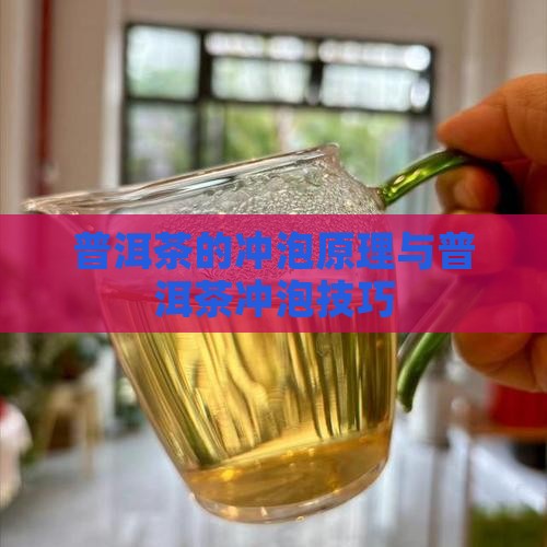 普洱茶的冲泡原理是什么