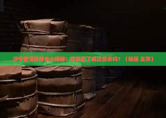 济宁普洱茶种类