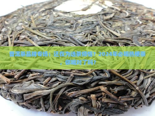 普洱茶品牌专场