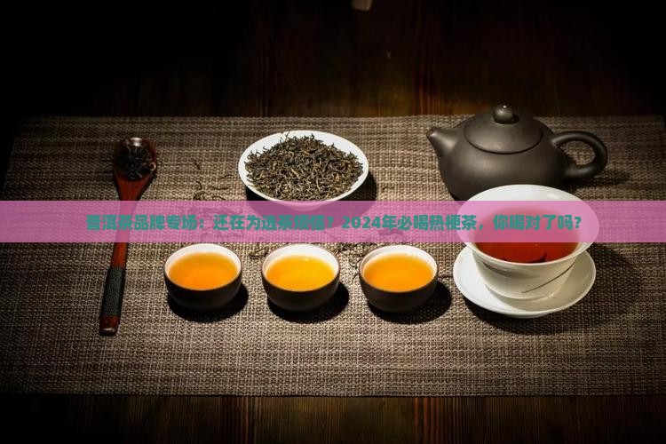 普洱茶品牌专场