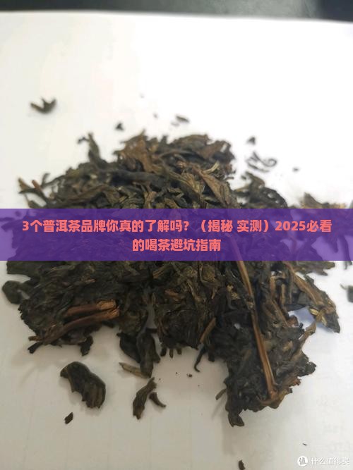 普洱茶品牌历史排名榜