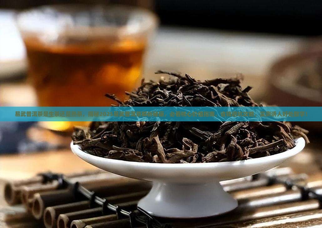 易武普洱茶是生茶还是熟茶