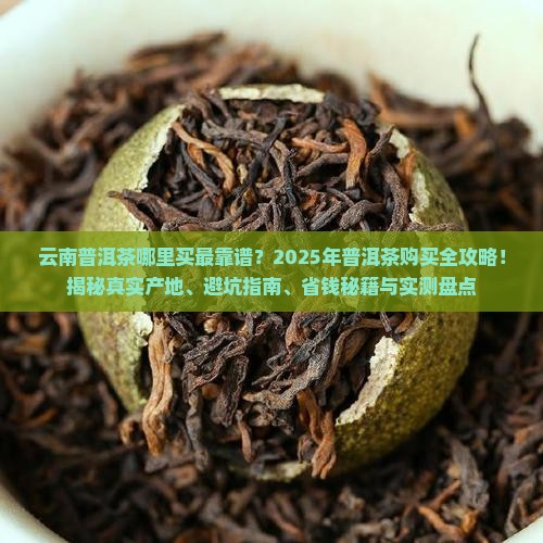 在哪里可以找到云南普洱茶