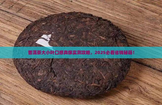 普洱茶大小叶口感特征