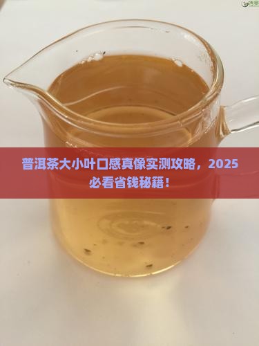 普洱茶大小叶口感特征
