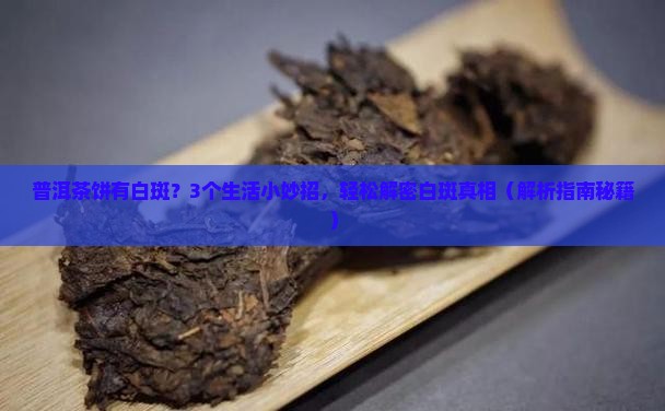 普洱茶饼有白斑