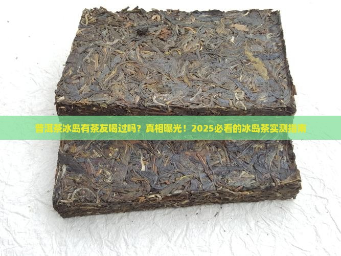 普洱茶冰岛有茶友喝过吗