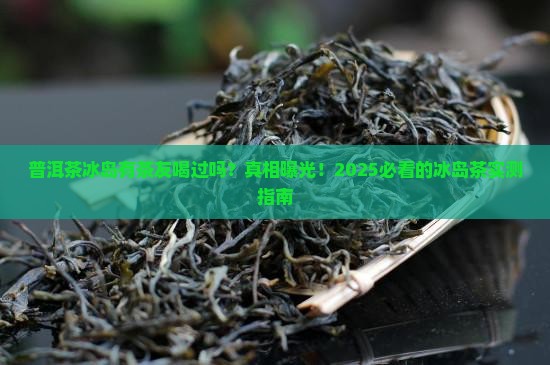 普洱茶冰岛有茶友喝过吗