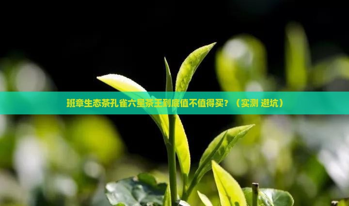 班章生态茶孔雀六星茶王