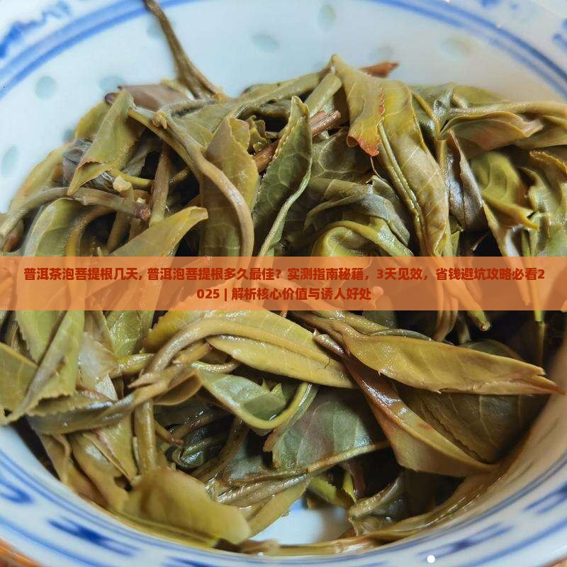 普洱茶泡菩提根几天