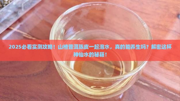山楂普洱陈皮一起泡水可以么
