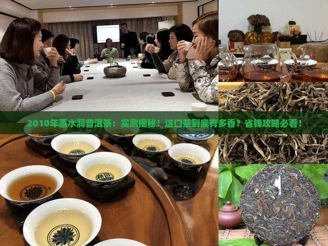 2010年落水洞普洱茶