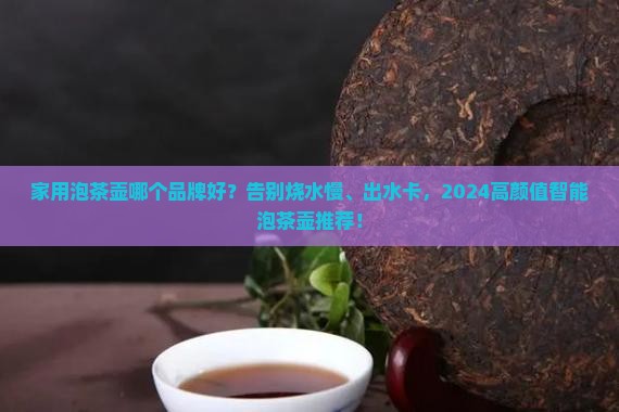 家用泡茶壶哪个品牌好