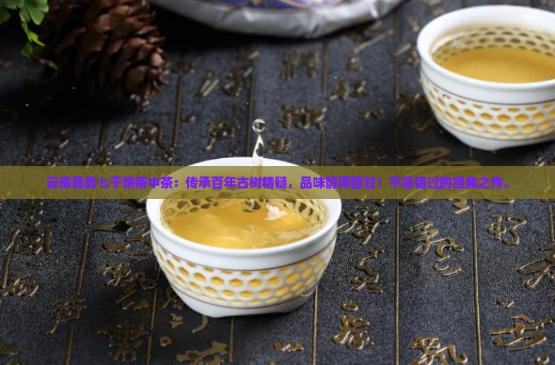 云南易武七子饼茶中茶